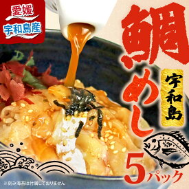 【ふるさと納税】 鯛めし 5食 セット 宇和島 南予ビージョイ 生鯛めし 真鯛 鯛 マダイ タイ tai 刺身 お刺身 刺し身 漬け丼 漬け 海鮮丼 水産 加工品 海鮮 鯛飯 海鮮 人気 海の幸 魚介 冷凍 小分け パック お手軽 便利 国産 愛媛 宇和島 D010-150011