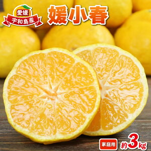 yӂ邳Ɣ[Łz Qt 3kg Q݂ _ s\ ݂ mikan Q~J Q Ђ߂͂ QY   i  ʕ t[c k  Yn _ƒ ʌ 