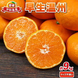 yӂ邳Ɣ[Łz Q݂ B 9kg TCYs ~bNX _ ݂ mikan Q~J Q  B B݂ i KiO s ʕ  t[c k 