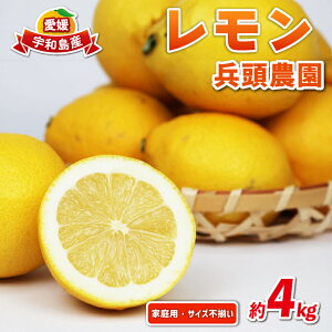 yӂ邳Ɣ[Łz  ƒp 4kg TCYs _  EG ʏ` _ u₩ ʎ T[ W[X `[nC remon  ʕ  r^~ t[c k _