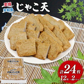 【ふるさと納税】 ＼10営業日以内発送／ じゃこ天 24枚 大山かまぼこ店 すり身 練り物 冷蔵 惣菜 フライ おでん 具 出汁 だし 郷土料理 酒 おつまみ 肴 魚肉加工品 特産品 愛媛 宇和島 C010-007002