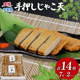 【ふるさと納税】 ＼10営業日以内発送／ 手押しじゃこ天 14枚 7枚×2パック 大山かまぼこ店 手押し じゃこ天 すり身 練り物 冷蔵 惣菜 フライ おでん 具 出汁 だし 郷土料理 酒 おつまみ 肴 魚肉加工品 特産品 愛媛 宇和島 C010-007003