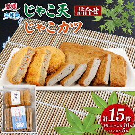 【ふるさと納税】 ＼10営業日以内発送／ じゃこ天 10枚 じゃこカツ 5枚 詰合せ セット 大山かまぼこ店 宇和島すり身 練り物 冷蔵 惣菜 フライ おでん 煮物 具 出汁 だし 小分け 酒 おつまみ 肴 蒲鉾 かまぼこ 魚肉 水産 加工品 特産品 郷土料理 国産 愛媛 宇和島 C010-007001