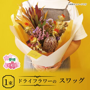yӂ邳Ɣ[Łz hCt[ XbO ܂ VOVO FLOWER  ԑ a LO  Mtg v[g Flower t[ p CeA   AWg G 