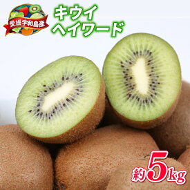 【ふるさと納税】 キウイ フルーツ 5kg 吉田農園 家庭用 グリーンキウイ ヘイワード キウイフルーツ デザート スイーツ 果物 農家直送 産地直送 数量限定 国産 愛媛 宇和島 F014-160001
