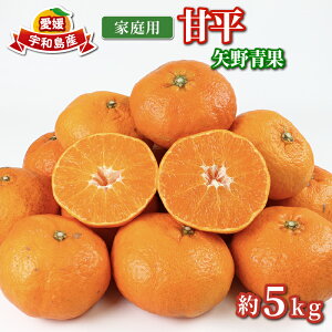 yӂ邳Ɣ[Łz Õ 5kg ƒp  s\    i uh k Â VLVL ؂  ʕ  t[c k ݂  Q Q݂