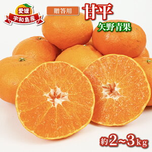 yӂ邳Ɣ[Łz p Õ 2 ~ 3kg  s\ ݂ ϔ    i VLVL k ʕ  t[c Z Â Ö  i  Mtg v[g