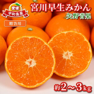 yӂ邳Ɣ[Łz p ݂ {쑁 2 ~ 3kg  B݂ k B 񂵂イ ʕ  t[c Z Â Ö   i  Mtg v[g Yn _