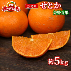 �y�ӂ邳�Ɣ[�Łz �󂠂� ���Ƃ� ���� 5kg ��s�\�� �T�C�Y �s���� �݂��� �������k ���k�� ��g�� ���Q�~�J�� ���Q���� mikan ���k �ʕ� �������� �t���[�c ���� �u�����h �Z�� �Â� �Ö� 