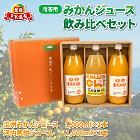 【ふるさと納税】 贈答用 みかんジュース 飲み比べ セット 1,000ml × 3本 協徳ガーデン 温州みかん 河内晩柑 100％ジュース ストレートジュース ストレート 温州 蜜柑 みかん 柑橘 ジュース mikan 愛媛ミカン 愛媛みかん 国産 和製グレープフルーツ 愛媛 宇和島 H012-178011
