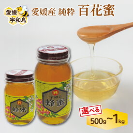 【ふるさと納税】 百花蜜 ギフト箱入 選べる 容量 500g~1kg 元気や 非加熱 はちみつ 国産はちみつ 百花蜂蜜 純粋はちみつ 生はちみつ 生蜂蜜 蜂蜜 ハニー ギフト プレゼント 贈答用 数量限定 産地直送 国産 愛媛 宇和島