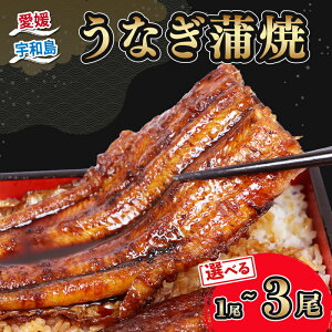 yӂ邳Ɣ[Łz ȂY Ȃ Iׂ e 1 ~ 3  170g ~ 540g ^t ^ I  ͖NX   V Ȃ EiM unagi {B {i V YV ݂͂ t