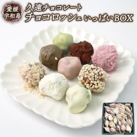 【ふるさと納税】 チョコロッシェいっぱいBOX 久遠チョコレート ロッシェ 25個 おまかせ ちょこ ちょこれーと チョコ チョコレート 洋菓子 菓子 焼き菓子 おやつ ギフト プレゼント バレンタインデー バレンタイン ホワイトデー 愛媛 宇和島 J010-167007