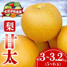 【ふるさと納税】 梨 甘太 3 ～ 3.2kg（5～6玉） 大森城山麓園 なし 和梨 ナシ 新品種 果汁 甘い 人気 果物 フルーツ 産地直送 農家直送 数量限定 国産 愛媛 宇和島 F010-181001