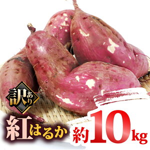 yӂ邳Ɣ[Łz 󂠂 ܂ g͂邩 10kg XR[ 킯 ܈ Tc}C  ₳ ͔|Ԓ _ sgp  C  A 󂠂i L 킯 Yn