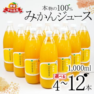 �y�ӂ邳�Ɣ[�Łz �݂���W���[�X �{����100���݂���W���[�X �I�ׂ� ���e�� 1,000ml × 4�{~12�{ �ؓc���k�_�� ��s�\�� �승20�� ���B�݂��� ���B���� �݂��� mikan �X�g���[�g �I�����W �ʏ`100��