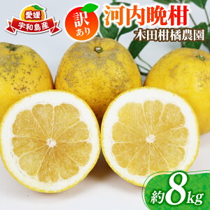 yӂ邳Ɣ[Łz 󂠂 ͓ӊ  8kg ؓck_ ӊ a O[vt[c A 󂠂i Q݂ Q QY݂  ݂ mikan u₩ ς tbV ʕ