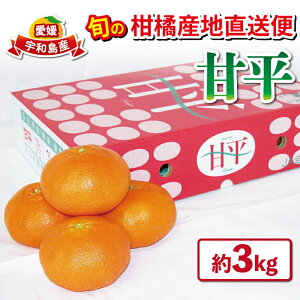 yӂ邳Ɣ[Łz Õ ݂ k Di 3kg s\ Ђߓ_Ƌg̃Z^[ JA ؂   uh i Â mikan  ʕ  t[c Q~J Q