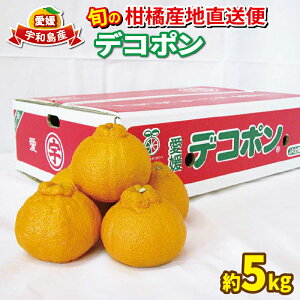 yӂ邳Ɣ[Łz ʂ sm Di 5kg s\ Ђߓ_Ƌg̃Z^[ JA fR| łۂ k ʂ fR ~J  mikan  ݂ k ʕ t[c Q