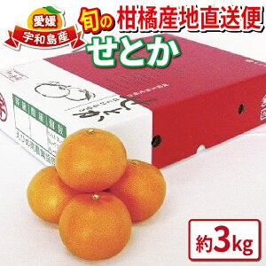 yӂ邳Ɣ[Łz ݂ Ƃ k Di 3kg s\ Ђߓ_Ƌg̃Z^[ JA k  g ʕ t[c Q~J Q Q݂  uh ~J mikan 