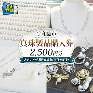 yӂ邳Ɣ[Łz ^ i w 2,500~ ̉wL `Pbg ^ 񂶂 akoya p[ ANZT[  i Mtg v[ggx s rWlX o s \ 