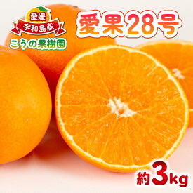 【ふるさと納税】 愛果28号 ( 紅まどんな と同品種) 約3kg こうの果樹園 先行予約 みかん 愛媛ミカン 愛媛蜜柑 mikan 柑橘 果物 くだもの フルーツ 高級 ブランド 限定 品種 濃厚 甘い 甘味 蜜柑 ゼリー プルプル 産地直送 農家直送 数量限定 国産 愛媛 宇和島 B010-182004