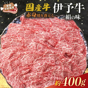 yӂ邳Ɣ[Łz Y Ԑg ؂藎Ƃ 400g ɗ\ u ̖ v X   イɂ   uh  niku ɂ ɂ ؗ Ă ₫ Ԃ  ē 