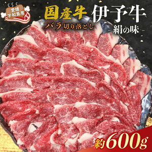 yӂ邳Ɣ[Łz Y o ؂藎Ƃ 600g ɗ\ u ̖ v X   イɂ   uh  niku ɂ ɂ ؗ Ă ₫ Ԃ  ē 