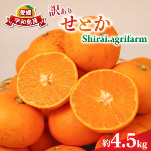 yӂ邳Ɣ[Łz Ƃ 󂠂 4.5kg Shirai.agrifarm s\ TCY s ݂ k k g Q~J Q mikan k ʕ  t[c  uh Z Â 