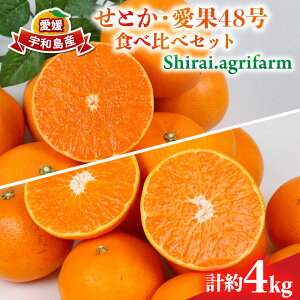 yӂ邳Ɣ[Łz Ƃ 2kg 48 2kg Hה Zbg v4kg Shirai.agrifarm s\ ݂ Q~J Q mikan k ʕ  t[c  uh  i Z Â Ö 
