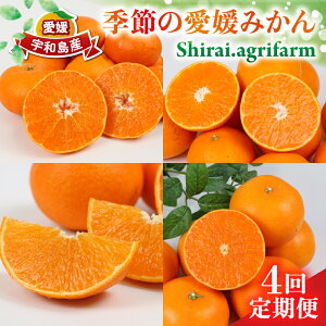 yӂ邳Ɣ[Łz G߂ Q݂ 4 Shirai.agrifarm 28 Õ Ƃ 48 ݂ k ݂ ʕ  t[c k  ؂   Y