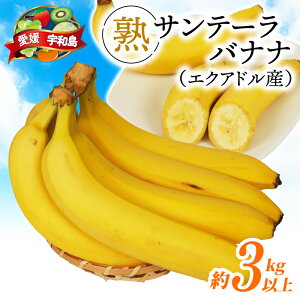 yӂ邳Ɣ[Łz oii nTe[oii v 3kg ( 600gȏ × 5 ) c ʕ  t[c ΂Ȃ gsJt[c 썑t[c noii Â RN   H 