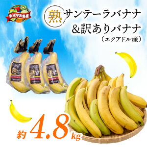 �ԗ�i�摜