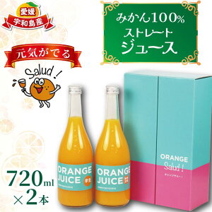 yӂ邳Ɣ[Łz W[X Cł ݂ 100 Xg[g W[X  승20 e720ml × 2{ Zbg ORANGE Salud! IWT[ B݂ ݂W[X 100%W[X  mikan t