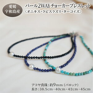 yӂ邳Ɣ[Łz p[ 2WAY `[J[ uXbg IjLX sXY ^[RCY I 38.5cm~45cm ōH[ lbNX ^ ANZT[ AR^ {^ t@bV  