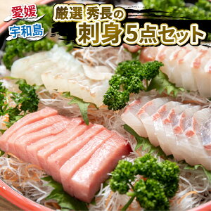 yӂ邳Ɣ[Łz hg _10cƓȓ^ I hg 5_ Zbg lߍ킹 GY Ⓚ N ^  }_C ^C  u ₵ q  n Jp` Ԕ {}O Y}
