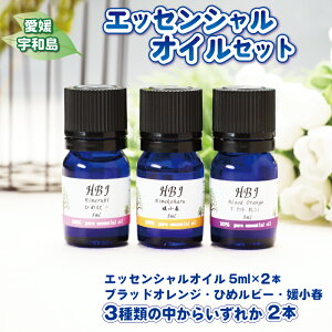 yӂ邳Ɣ[Łz GbZVIC Zbg 5ml × 2{ Ђߔ kA} ubhIW Ђ߃r[ Qt k R VR A}IC A}fBt[U[  bNX 