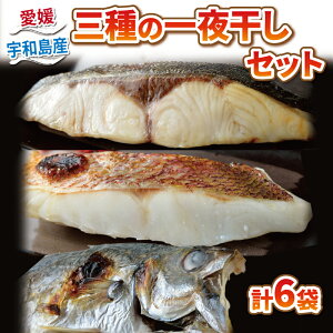 yӂ邳Ɣ[Łz Ђ _10cƓȓ^ Zbg  3 銱 6 ˂ ^  }_C ^C Jp` AW  Ⓚ CN VN  qm Ђ aH Ă