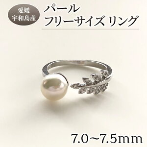yӂ邳Ɣ[Łz _10cƓȓ^ p[ O 7.0-7.5mm {^ ^ AR^ {^ ANZT[ t[TCY w tH[} JWA  c   Ǝ 