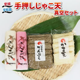 【ふるさと納税】 じゃこ天 真空 セット 中村かまぼこ店 手押しじゃこ天 真空パック 手作り てんぷら 天ぷら かま天 かまぼこ カマボコ 揚げかまぼこ 蒲鉾 すり身 練り物 練物 冷蔵 惣菜 フライ おでん 具 出汁 だし 郷土料理 酒 おつまみ 特産品 愛媛 宇和島 C010-013006