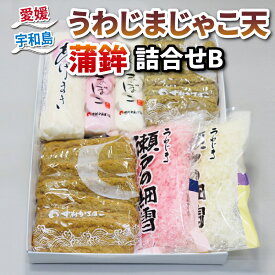 【ふるさと納税】 じゃこ天 蒲鉾 詰め合わせ Bセット 中村かまぼこ店 てんぷら 揚巻 上板蒲鉾 削り蒲鉾 紅白 はらんぼ すり身 練り物 冷蔵 惣菜 フライ おでん 具 出汁 だし 小分け 郷土料理 酒 おつまみ 肴 魚肉加工品 特産品 国産 愛媛 宇和島 C018-013002