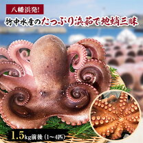 楽天市場】地蛸の通販