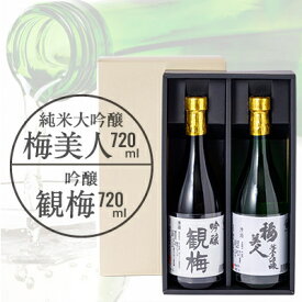 【ふるさと納税】純米大吟醸梅美人720mlと吟醸観梅720mlのセット【D03-8】【1043422】