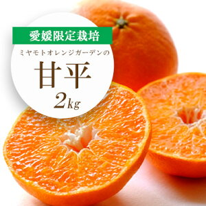 yӂ邳Ɣ[Łzy2026N2菇zQ͔|k VLbƐVH!Õ 2kgyE25-36z_ ݂ ~J k t[c ӂ[ ʕ   Õ ؂ Â Z x
