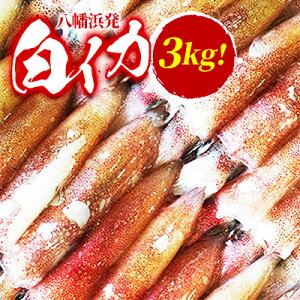 yӂ邳Ɣ[ŁzyⓀցzl!uCJ(CJ)v3.0kg!yH22-209zyzsnFzy1047026z
