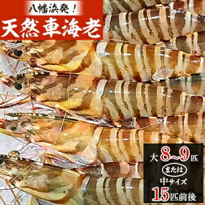 yӂ邳Ɣ[Łzl!|ÝwVRԊCVorTCYxςႤVR! yH22-224z_ ԊCV ܂ Ԃ VR Gr  CV   CN N Ⓚ BBQ ȒP Q