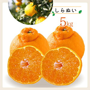 yӂ邳Ɣ[ŁzREʎuʂvՂ5kgyC33-23z_ ݂ ~J  t[c ʕ  lC  Q ls k k sm ӂ邳 y1052369z