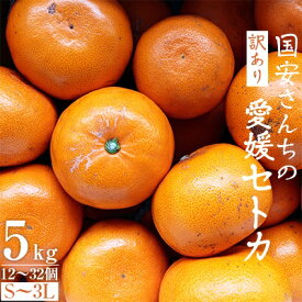 【ふるさと納税】国安さんちの愛媛セトカ5kg【訳あり】【C20-14】【1094586】