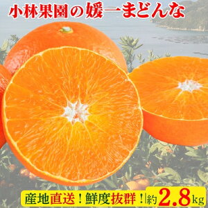 yӂ邳Ɣ[Łzщʉ̕Q܂ǂ(2.8kg)yC24-16z_ ݂ ~J  k k t[c ʕ  ܂ǂ }hi lC  Q ls ӂ邳 y1124422z
