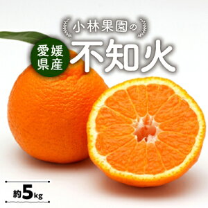 yӂ邳Ɣ[Łzщʉ̕sm(5kg)yC24-20z_ ݂ ~J k ʂ sm t[c  ʕ ӂ[  ʎ Â W[V[ Y Yn { k lC Q 